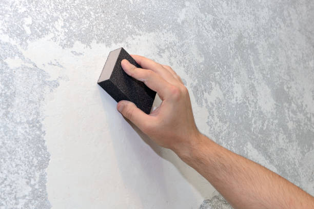 Best Environmental Consulting for Mold Prevention  in Ohkay Owingeh, NM