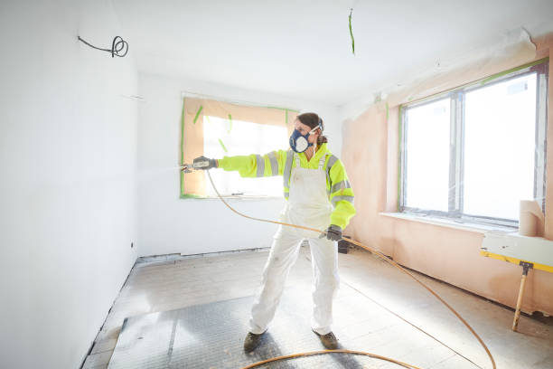 Best Mold Odor Removal Services  in Ohkay Owingeh, NM