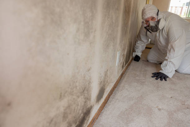 Best Mold Prevention Services  in Ohkay Owingeh, NM