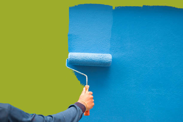 Best Basement Mold Removal  in Ohkay Owingeh, NM